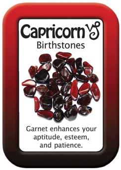 Garnet &mdash; Capricorn Birthstone