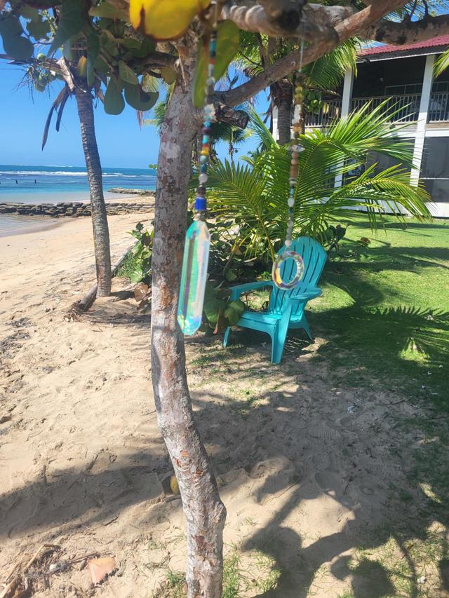 Infinite Reflections