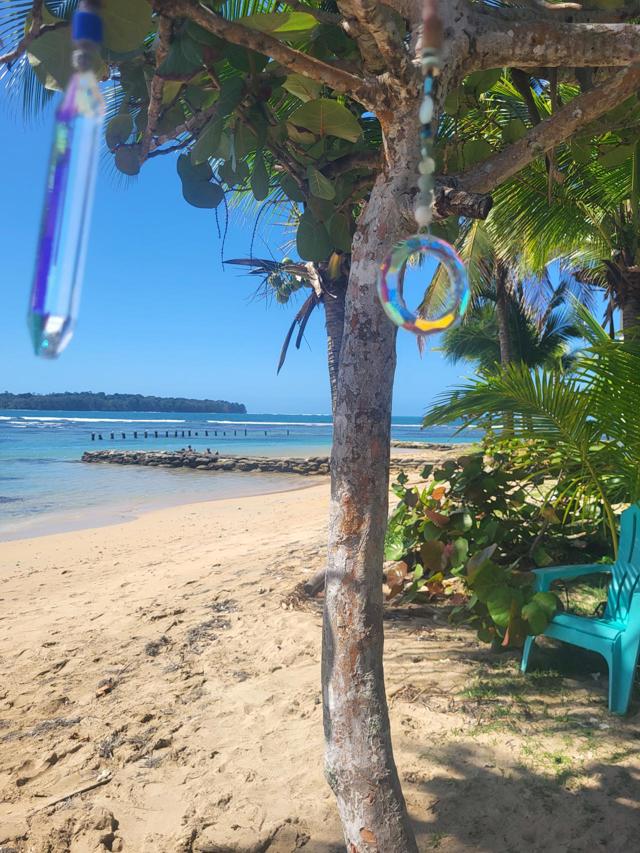 Infinite Reflections