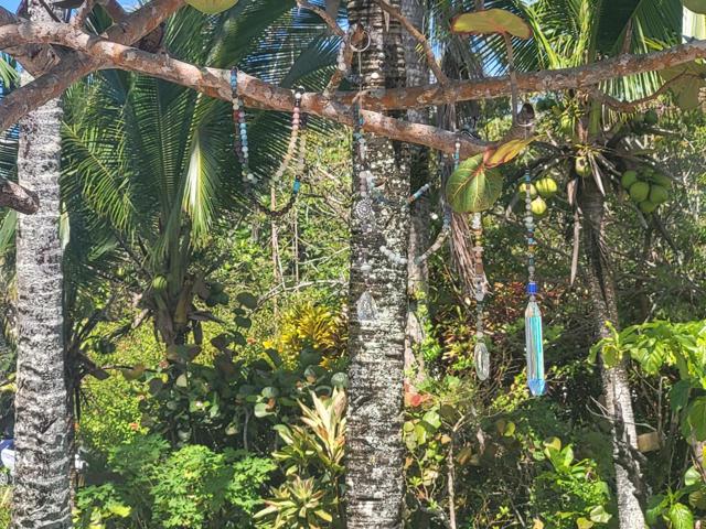 Infinite Reflections