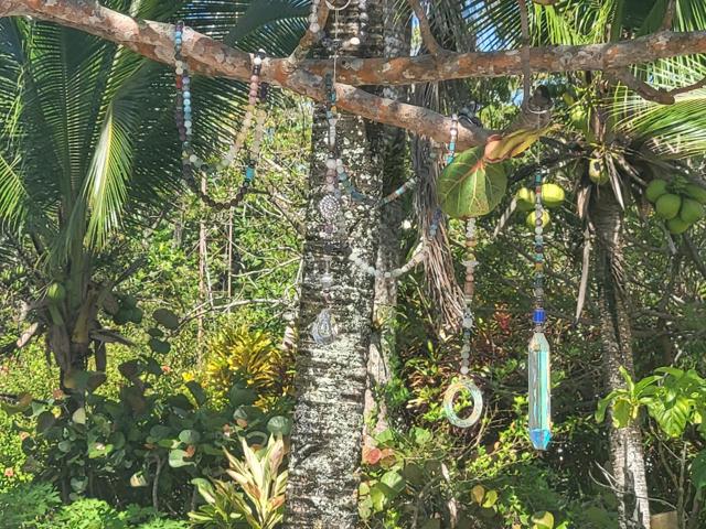 Infinite Reflections